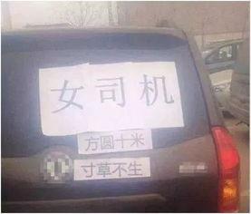 云南爆料女司机视频大全,惊险瞬间与温馨瞬间并存